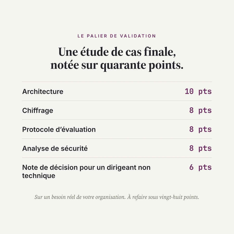 Apprendre.AI, le manuel niveau Expert