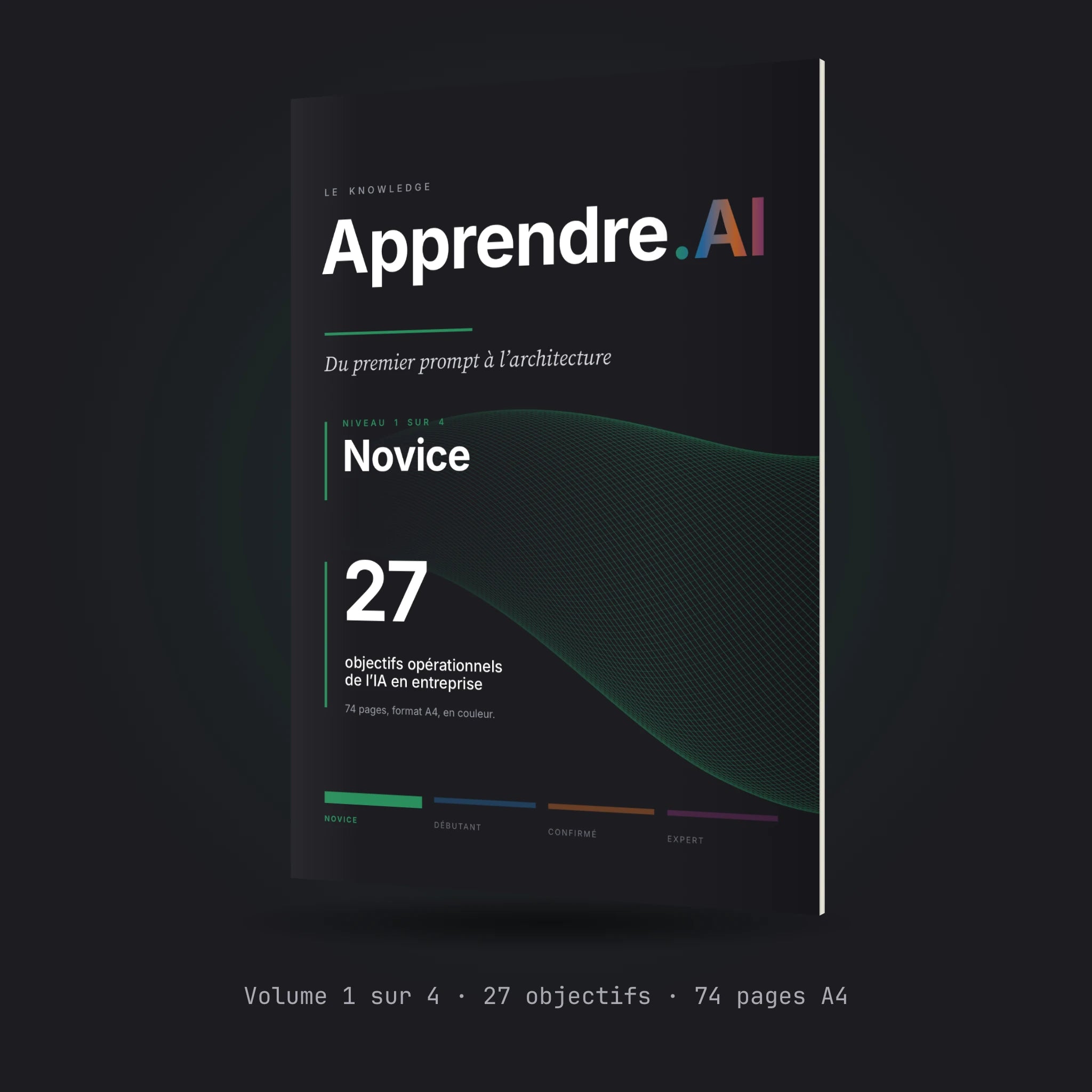 Apprendre.AI, le manuel niveau Novice
